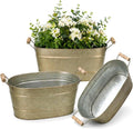 3 Large Oval Metal Farmhouse Planters