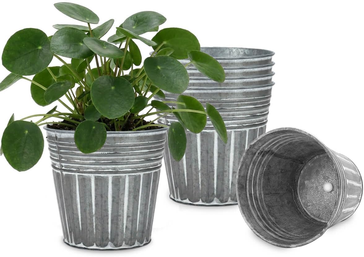 6 Silver Small Metal Herb Planters