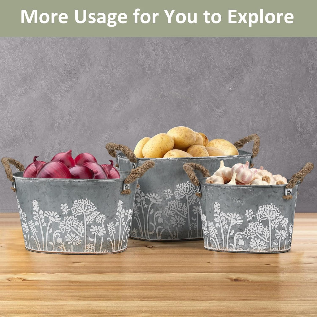 3 Oval Galvanized Metal Planter Tubs